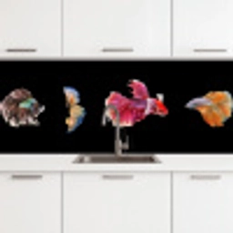 Vissen - Kleurrijk - Dieren keuken achterwand 2 middel -3d