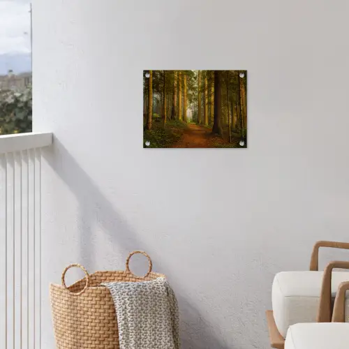 Bos - Natuur - Bomen - Landschap - Bladeren tuinposter los doek klein -sfeer8