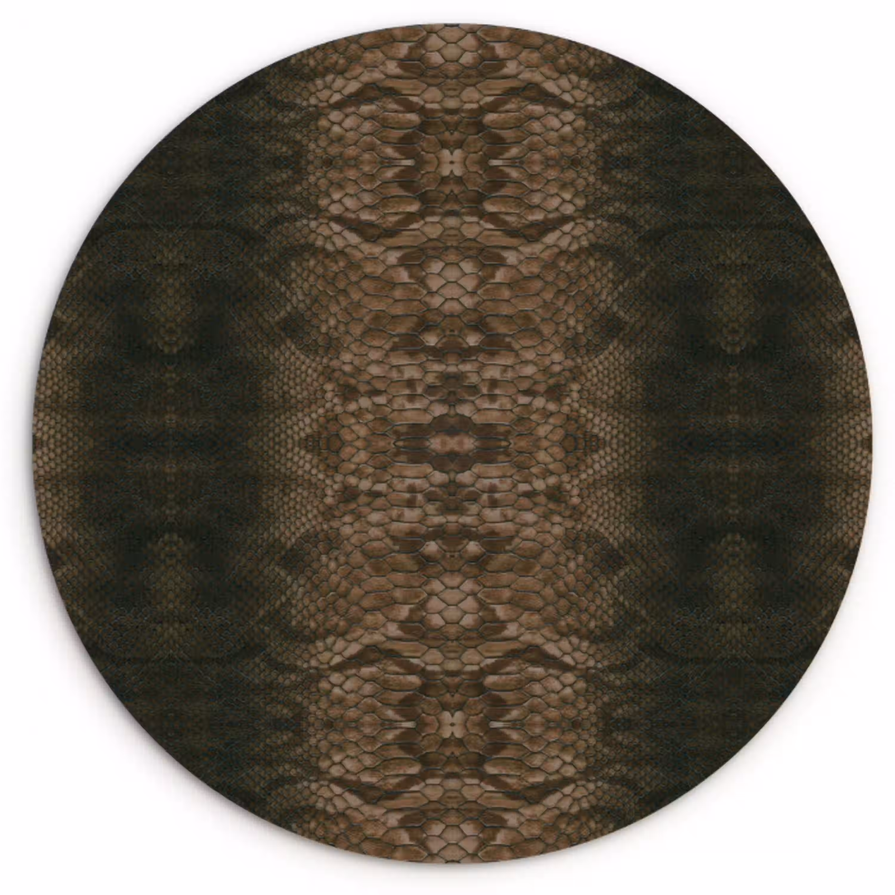 Slang - Boa - Diep - Bruin Wandcirkel plexiglas klein 852 -3d