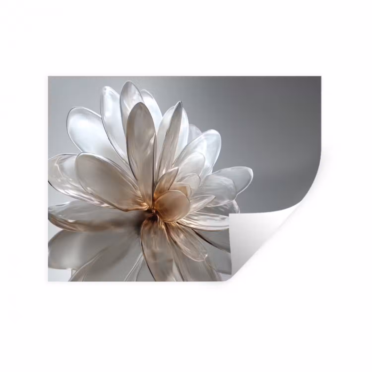 Wandtattoo – Blume - Weiß - Neutral
