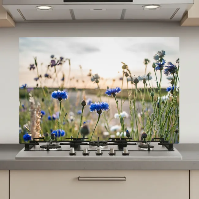 Bloemen - Zomer - Korenbloem - Blauw - Zon - Wolken keuken achterwand spatscherm klein -3d_website