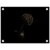 Bol - Gedroogd - Vaas - Zwart tuinposter los doek klein -3d
