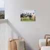 Nieuwsgierige koeien in de wei tuinposter los doek klein -sfeer8