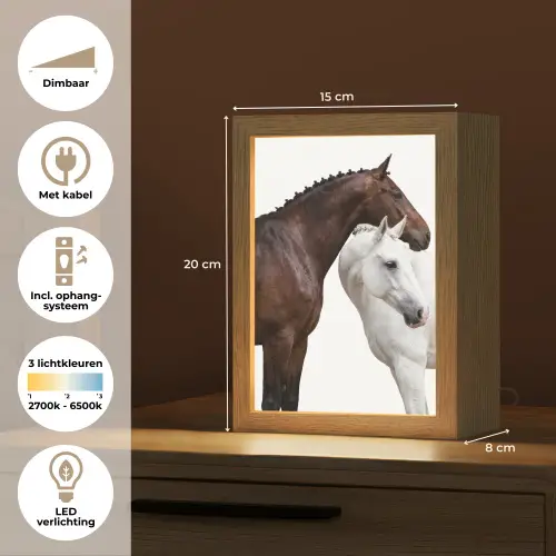Paard - Modern - Balans Light Box met kabel (Tafellamp) klein -USP_NL
