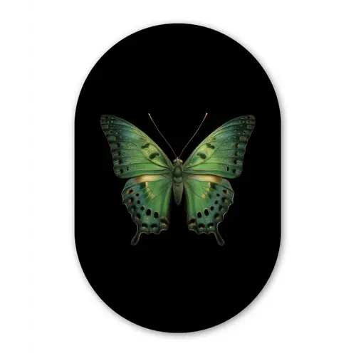 Vlinder - Groen - Diepte Wandcirkel Ovaal Forex klein -3d