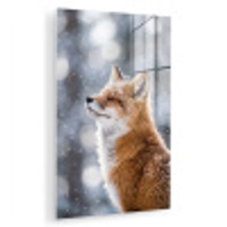Vos - Sneeuwval - Portret - Winter - Sfeervol plexiglas 5mm klein -zzzproduct_nieuw