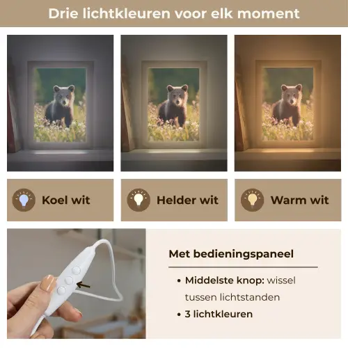 Beer - Bloemenveld - Gras Light Box met kabel klein -USP_lichtkleurNL