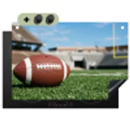 Football - Veld - Stadion - Sport Inductie beschemer met haakjes klein -3d