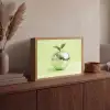 Groen - Disco - Decoratie - Appel Light Box met batterij (Wandlamp) middel -sfeer2