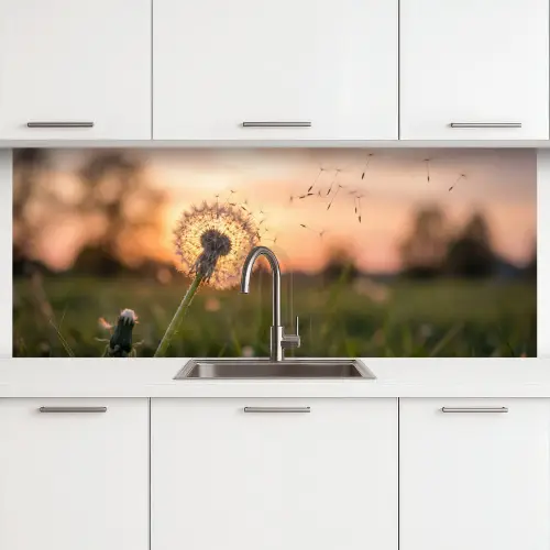 Paardenbloem - Zonsondergang - Veld keuken achterwand 2 middel -3d