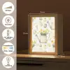 Gieter - Bloemen - Eieren Light Box met kabel (Tafellamp) klein -USP_NL