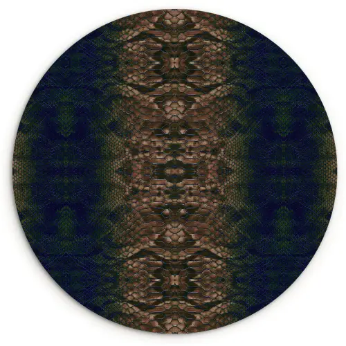 Slang - Boa - Bruin - Blauw Wandcirkel plexiglas klein 852 -3d
