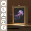 Kwal - Doorzichtig - Roze - Tentakels Light Box met kabel (Tafellamp) klein -USP_NL
