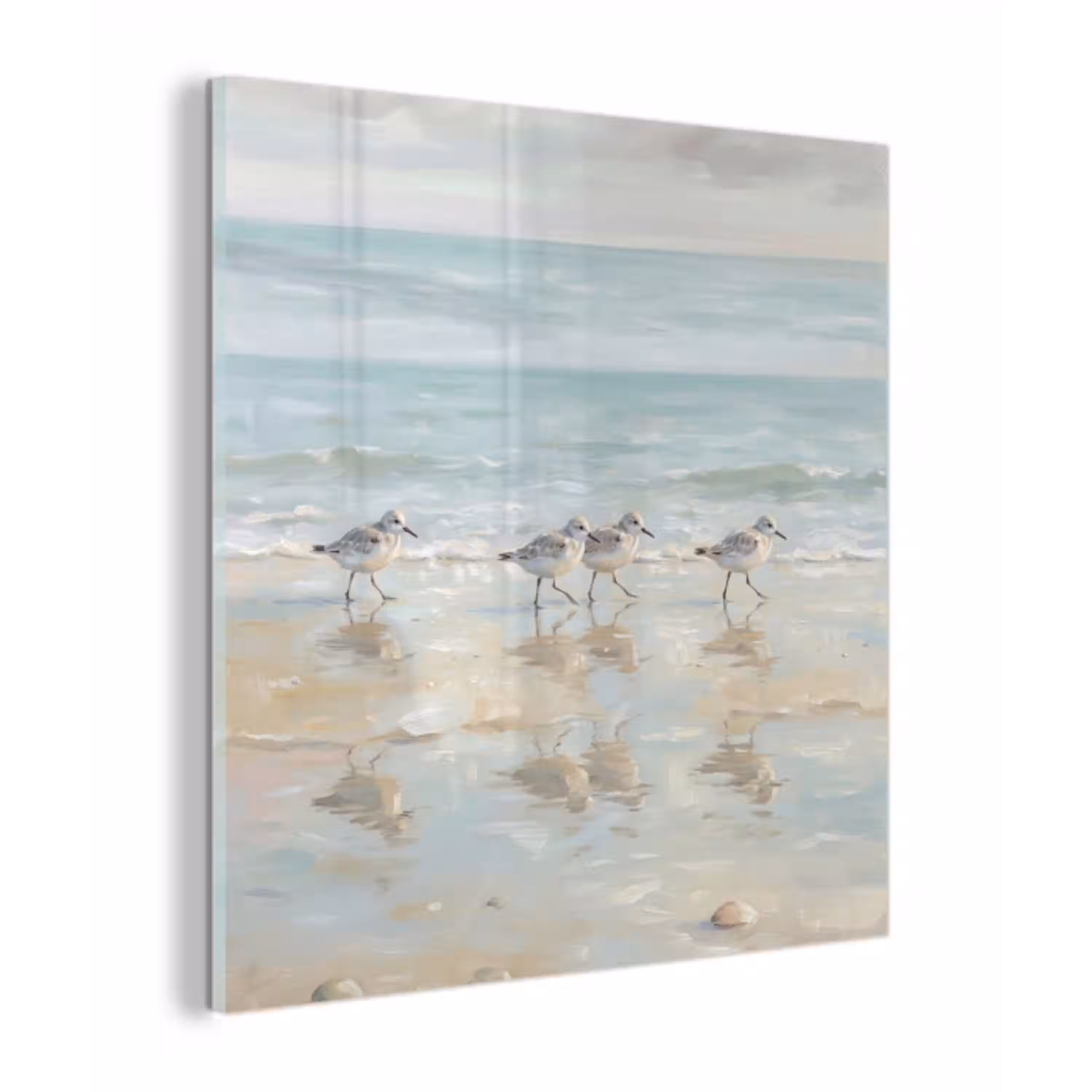 Vogels - Strand - Zee plexiglas 5mm klein -z3d