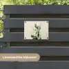 Cactus - Groen - Minimalistisch tuinposter los doek klein -sfeer3