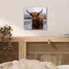 Schotse hooglander - Bruin - Water plexiglas 5mm klein -sfeer4