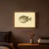 Stekels - Vis - Opgeblazen - Bruin Light Box met batterij (Wandlamp) middel -sfeer4