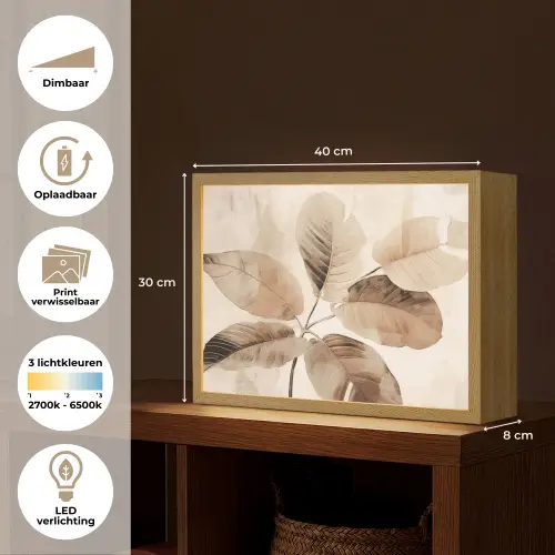 Gedroogde plant - Natuur - Bruin - Planten Light Box met batterij (Wandlamp) middel -USP_websiteoverzichtNL