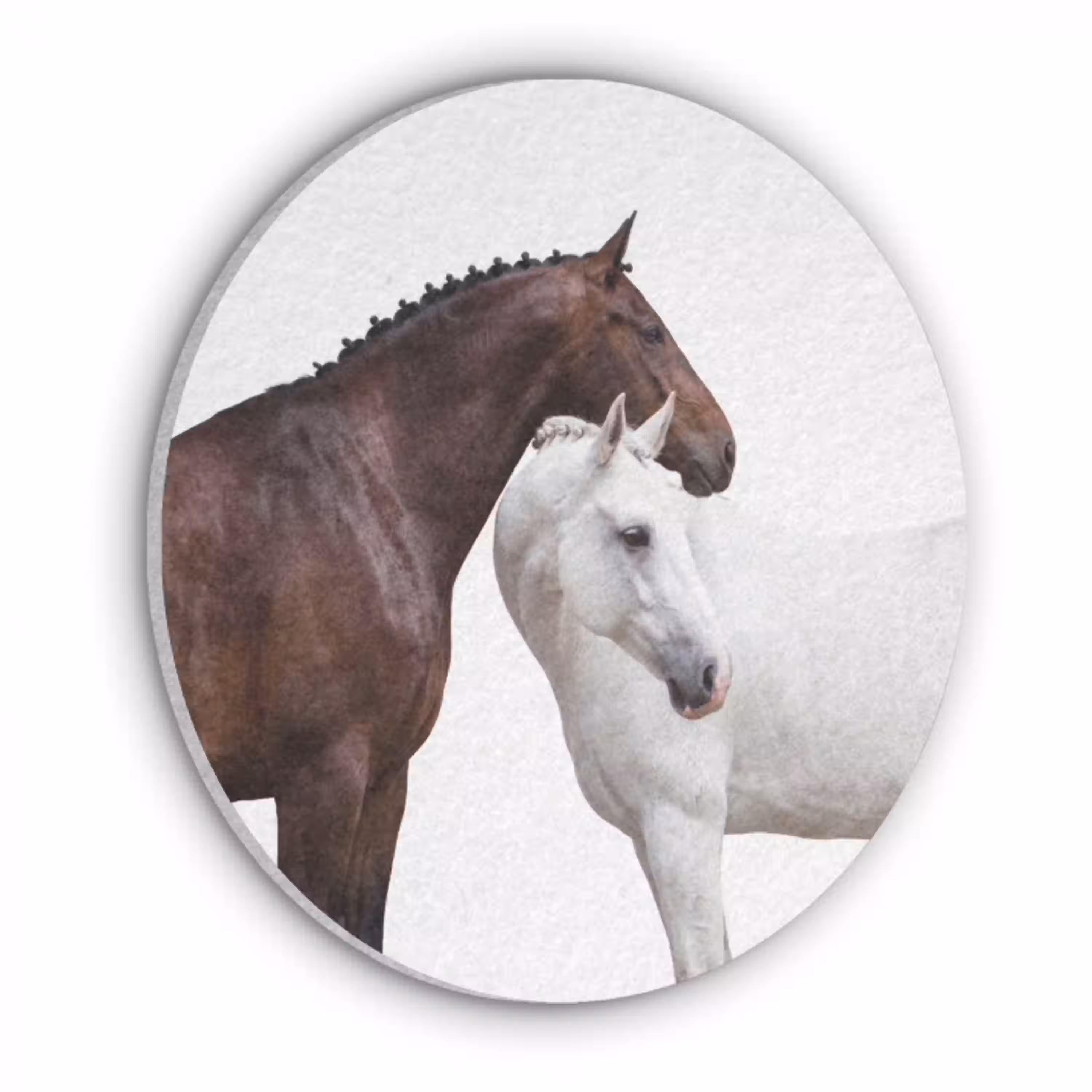 Paard - Modern - Balans Akoestische PET Vilt - Rond klein -3d