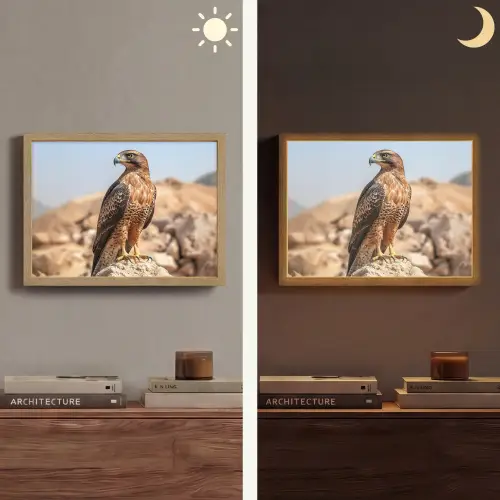 Valk - Vogel - Rots - Macht Light Box met batterij (Wandlamp) middel -sfeer3