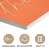 If not now then when - Oranje - Geel - Levendig PET vilt klein -closeup_NL