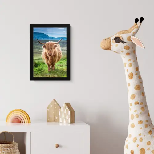 Schotse hooglander - Koe - Natuur - Berg - Gras fotolijst zwart zonder passe partout klein -usfeer4_kinderkamer