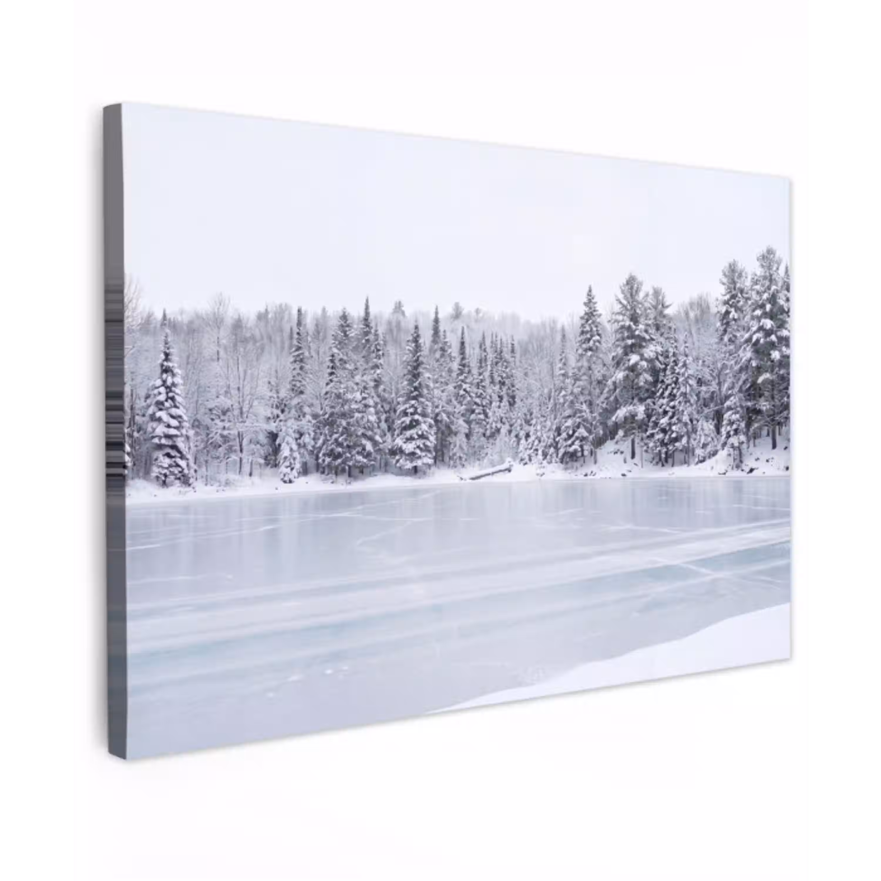 Meer - Dennen - IJs - Winter - Rustgevend Tuinposter op houten frame 2 cm dik klein -3d