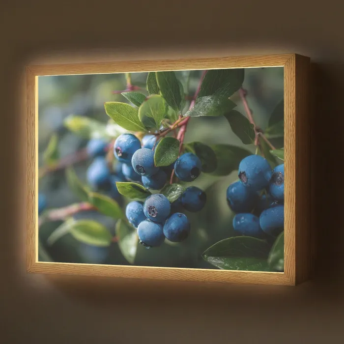 Blauwe bessen - Dauwdruppels - Natuurlijk licht Light Box met batterij (Wandlamp) middel -z3d_website