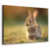 Konijntje - Bruin - Gras Textielframe zwart klein -3d