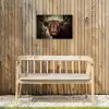 Schotse hooglander - Licht - Portret - Natuur Tuinposter op houten frame 2 cm dik klein -sfeer4