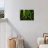 Jungle - Brug - Mos - Natuur - Tropisch tuinposter los doek klein -sfeer8