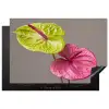Planten - Anthurium - Groen - Roze Inductie beschermer vinyl 3mm klein -3d