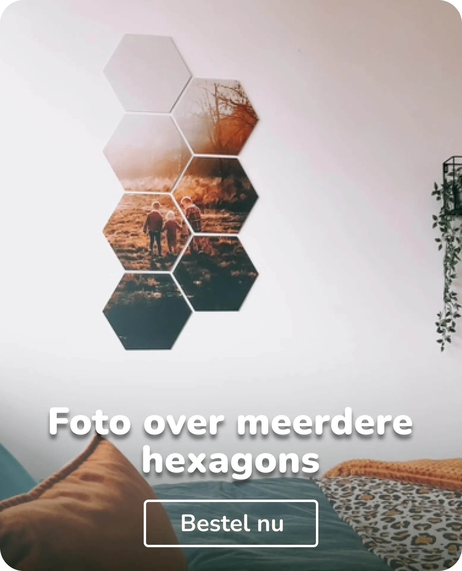 Foto op forex meerdere hexagons
