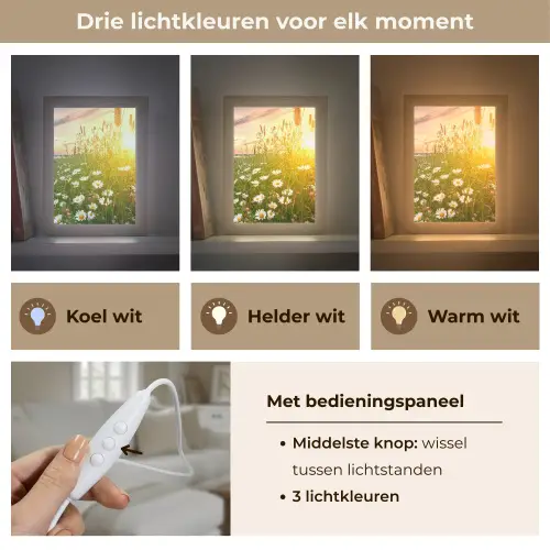 Bloemen - Madelief - Natuur - Zon - Horizon Light Box met kabel (Tafellamp) klein -USP_lichtkleurNL