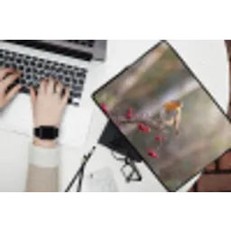 Roodborst - Tak - Bessen - Natuur laptophoes neopreen klein -bureau