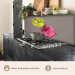Planten - Anthurium - Groen - Roze keuken achterwand 2 middel -usp_EN