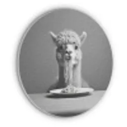 Alpaca - Pasta - Zwart - Wit - Grappig - Dieren Akoestische PET Vilt - Rond klein -3d