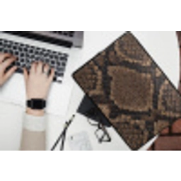 Python - Schubben - Brons laptophoes neopreen klein -bureau