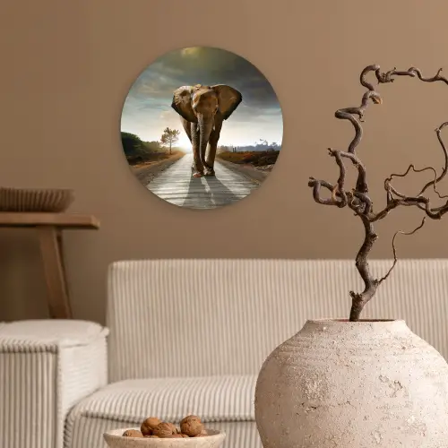 Olifant - Weg - Dieren - Zonsondergang - Landschap Wandcirkel kunststof plaat 5mm dik klein -sfeer1