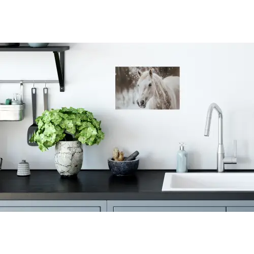 Paard - Wit - Winter - Natuur - Sneeuw - Dieren Muursticker klein -keuken