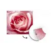 Roze - Roos - Romantisch fotobehang vinyl groot -3d