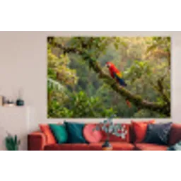 Ara - Jungle - Rood forex 5mm xxl -woonkamer
