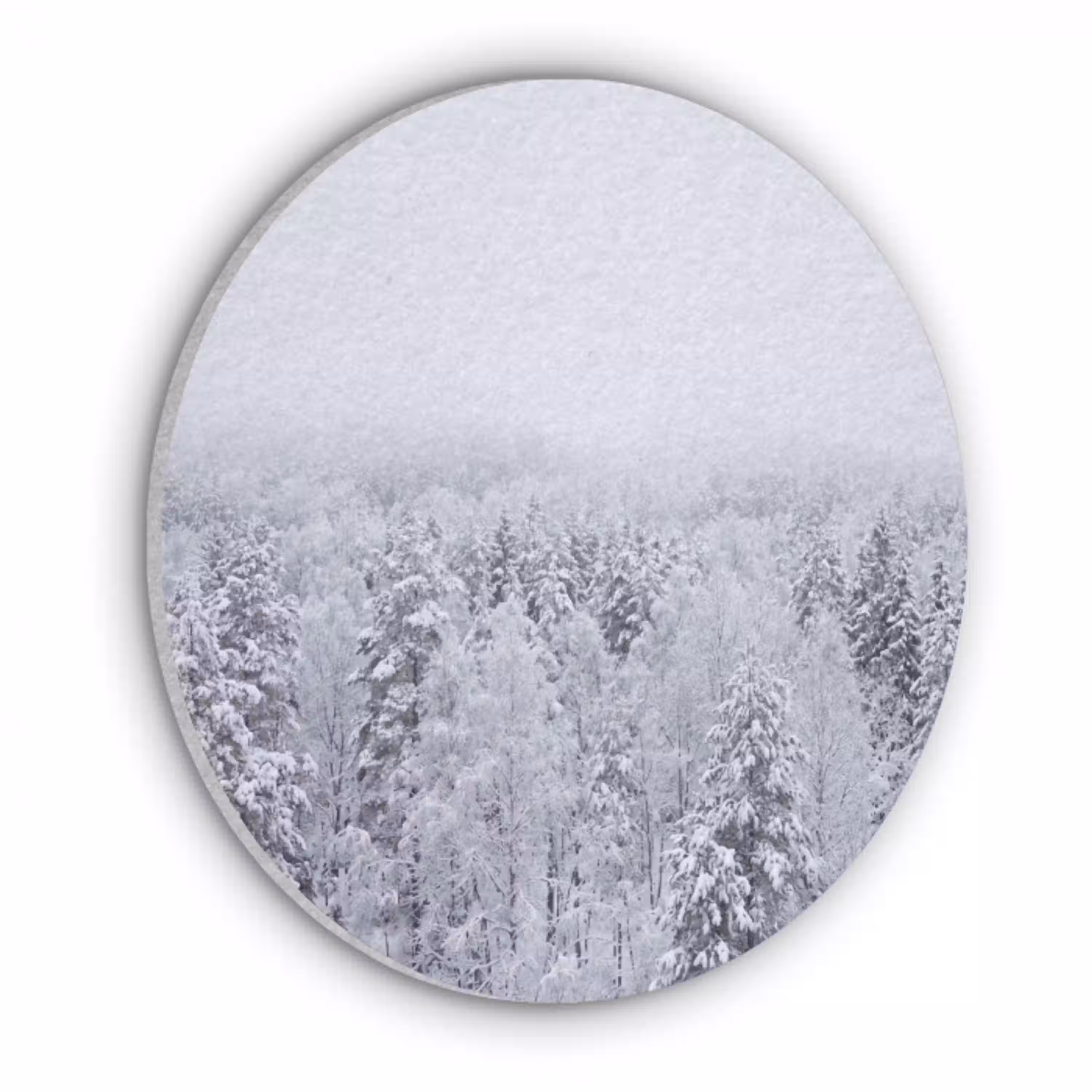 Bos - Sneeuw - Winter - Natuur - Wit Akoestische PET Vilt - Rond klein -3d