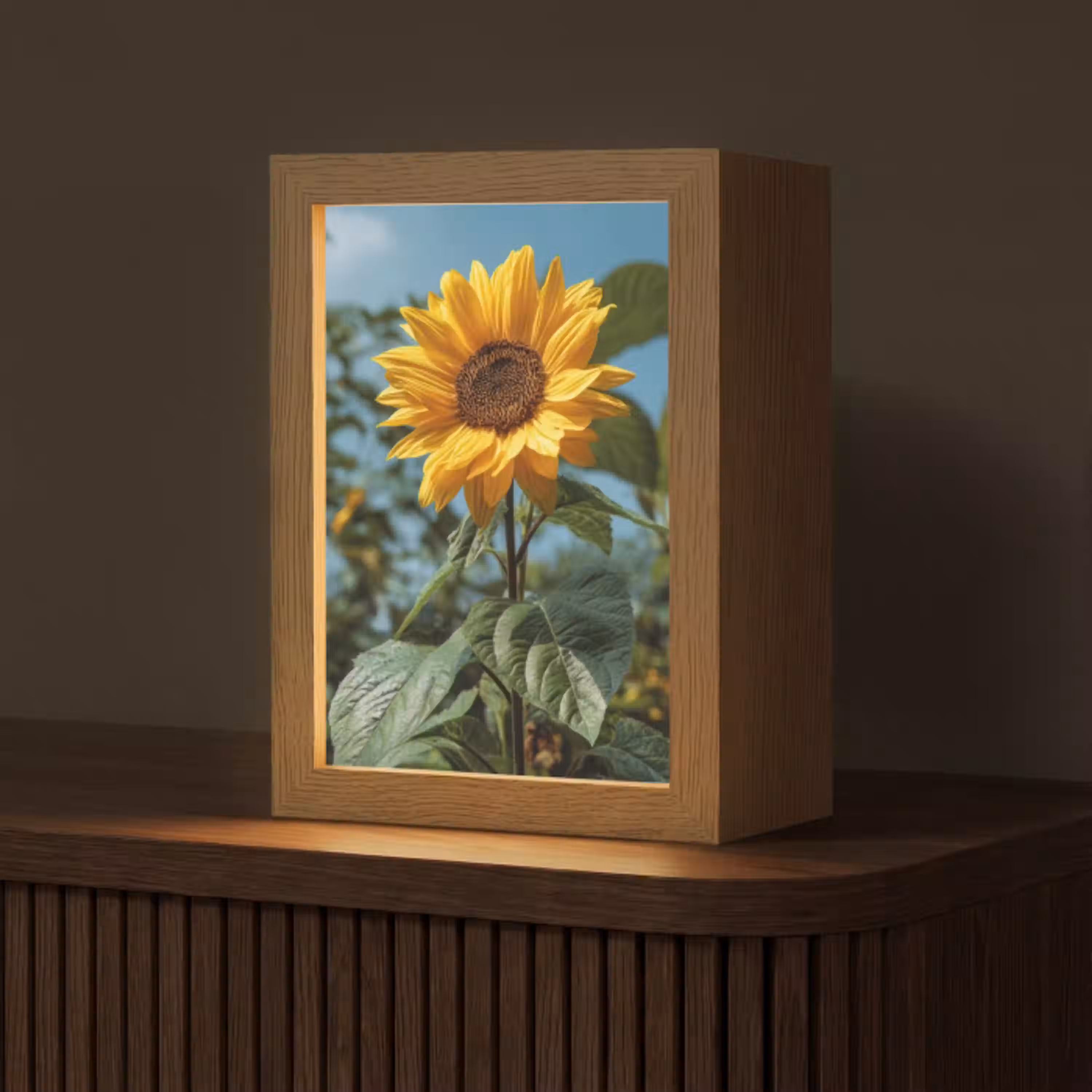 Zonnebloemen - Helderblauwer lucht - Gras Light Box met kabel (Tafellamp) klein -z3d_website