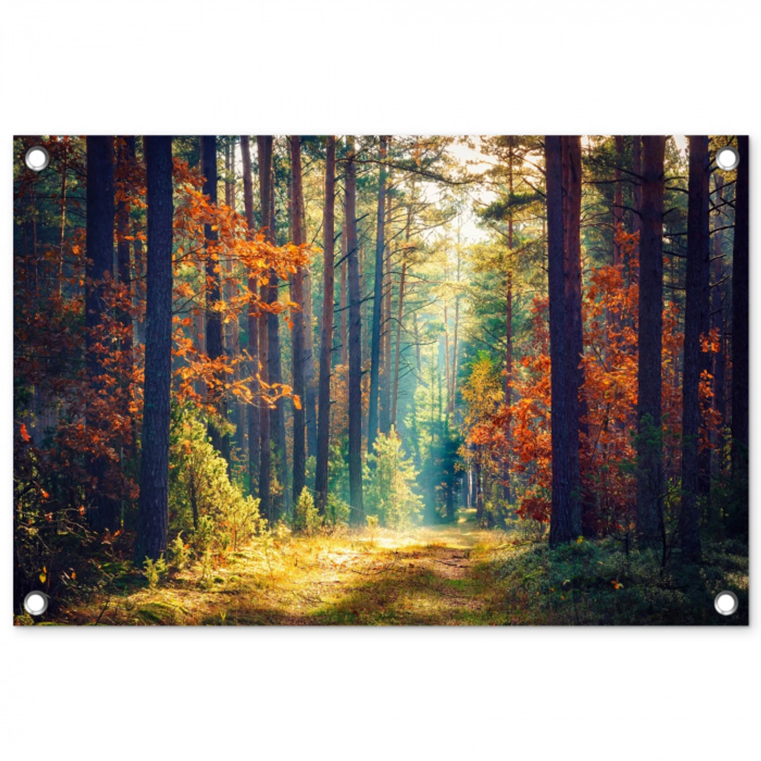Herfstbos met zonnestralen tuinposter los doek klein -3d