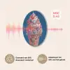 Ijsje - Hoorntje - Steentjes - Blauw Akoestische PET Vilt - Rond klein -USP_NL