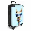 Allard Alpaca Koffer - NBS - Handbagage middel -productfoto_3d