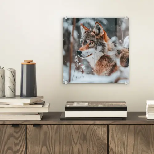 Wolf - Sneeuw - Winter - Dieren - Natuur - Sneeuw plexiglas 5mm klein -sfeer1