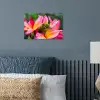 Tropische vogel tussen roze bloem poster papier klein -sfeer2