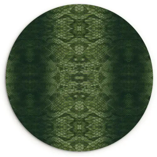 Slang - Boa - Groen Wandcirkel plexiglas klein 852 -3d